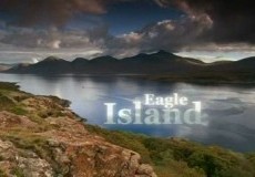 Eagle Island Project