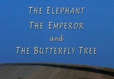 The Elephant, the Emperor and the Butterfly Tree Project
