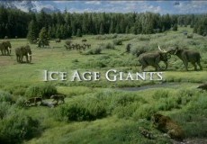 Ice Age Giants Project