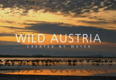 Wild Austria Project