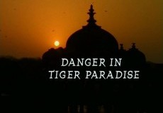 Danger in Tiger Paradise Project